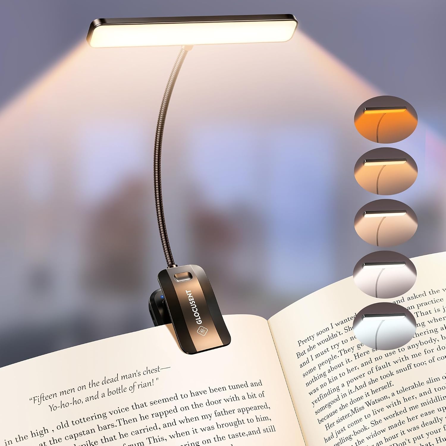 Book Accessories_bestseller