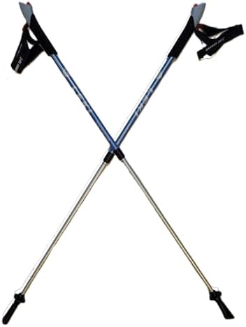 LEKI Nordic Walking Instructor (Lt Blue) Trekking Pole