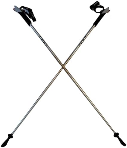 LEKI Nordic Walker Platinium Limited Edition Carbon Series Walking Poles Silver