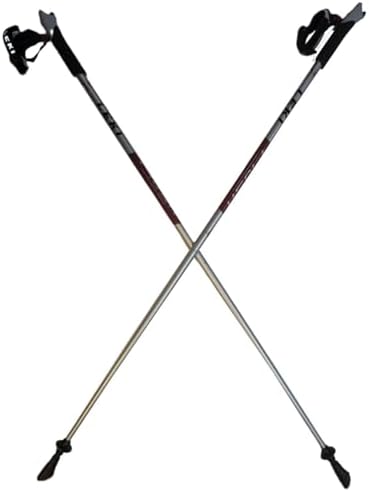 LEKI Nordic Walking Flash AirFOIL HTS 6.0 Series Walking Pole Silver/Maroon 120cm