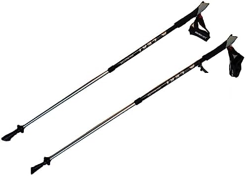 LEKI Nordic Walking Instructor Trekking Pole
