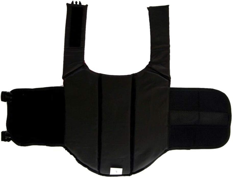 Dog Life Jacket Swimming Vest - Small Cat Puppy Coat Dachshund Float, XXS