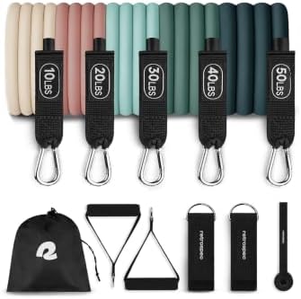 Retrospec Train Resistance Bands Set for Working Out - 5 Stackable Bands, Handles & Door Anchor - Portable Fitness Equipment for Physical Therapy & Yoga Includes Carry Bag