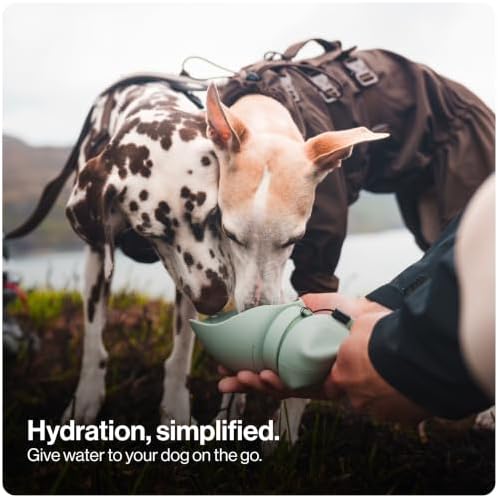 SÄKER Portable Dog Water Bottle, Collapsible Water Bottle for Dogs Perfect for Walking, Hiking and Outdoors | Works as a Portable Water Bowl | Designed in Montreal - 550ml