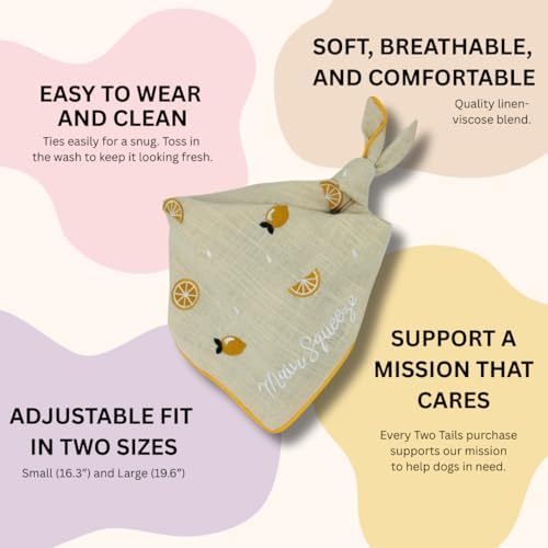 Two Tails Main Squeeze Dog Bandana, Tie-on, Large