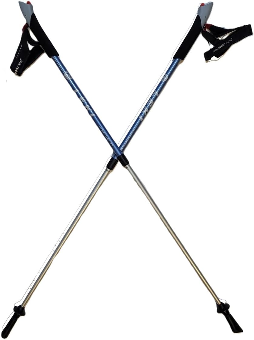 LEKI Nordic Walking Instructor (Lt Blue) Trekking Pole