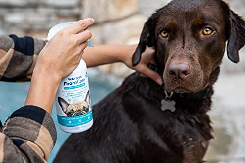 Vetericyn FoamCare Dog Shampoo and Conditioner - Instant Foaming, Spray-On Hypoallergenic Shampoo, Plant-Based Formula for Dogs and Cats. 16 Ounce