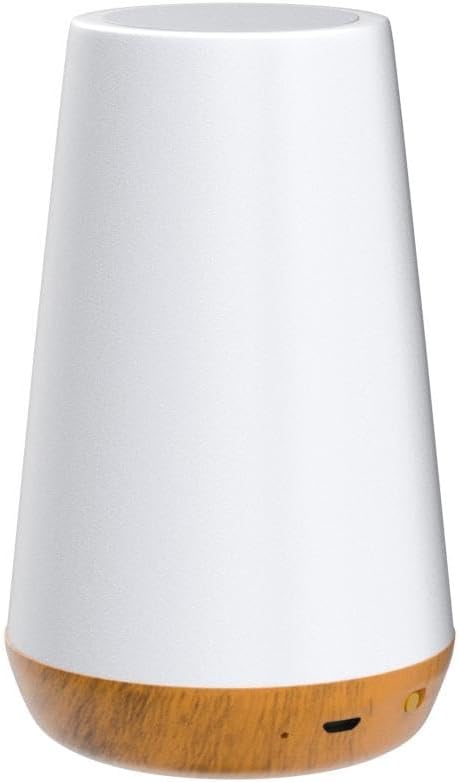 THAUSDAS Telecontrol Night Light Touch Lamp: 13 Colors, 5 Brightness, Brown