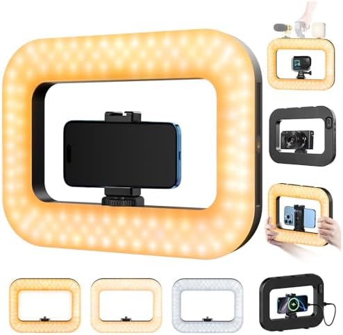 yAyusi Cell Phone Light for Video Recording, Handheld Phone Stabilizer with Light, 8000mAh LED Selfie Phones Ring Light with Phones Holder, Smartphone Video Rig for Camera, Action Camera, Vlog, TikTok