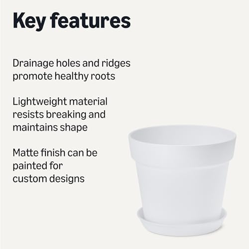 Amazon Basics Plant Pot with Saucer, Flower Pot with Drainage Holes, Lightweight PP, 8 Inch, 1-Pack