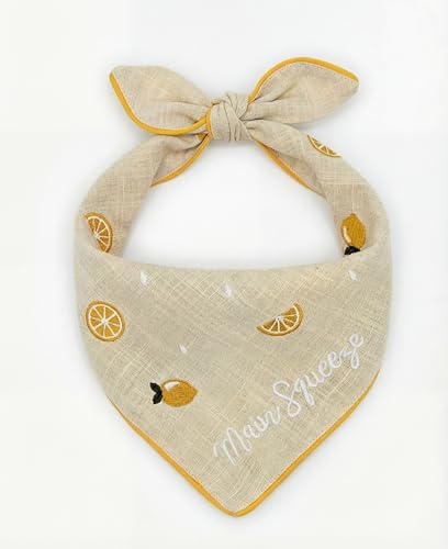 Two Tails Main Squeeze Dog Bandana, Tie-on, Large
