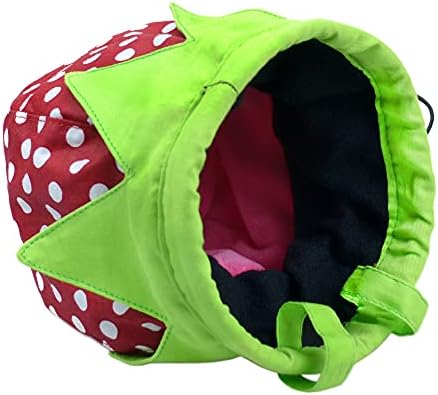 Strawberry Chalk Bag with Carabiner Drawstring for Rock Climbing Weight Lifting Rock Climbing Bag Chalkbag