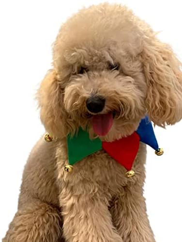 ComfyCamper Dog Jester Clown Neckpiece Cute Outfit Halloween Costume, L