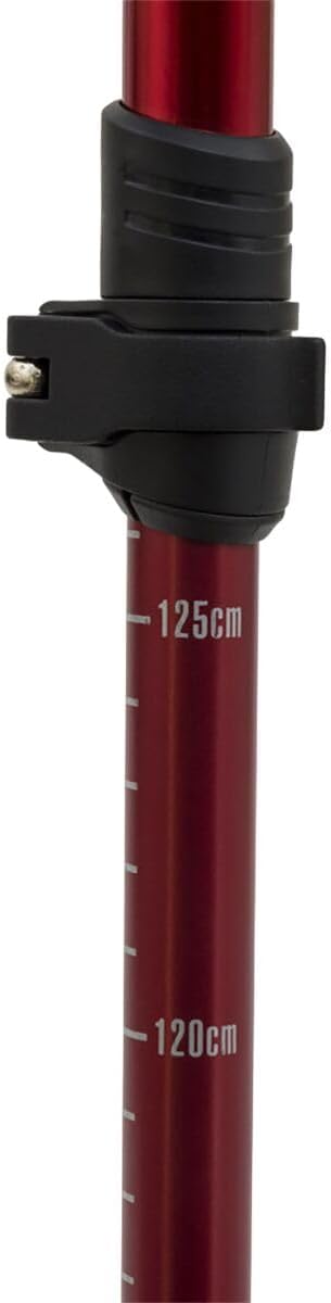 ALPS Mountaineering Trekking Pole