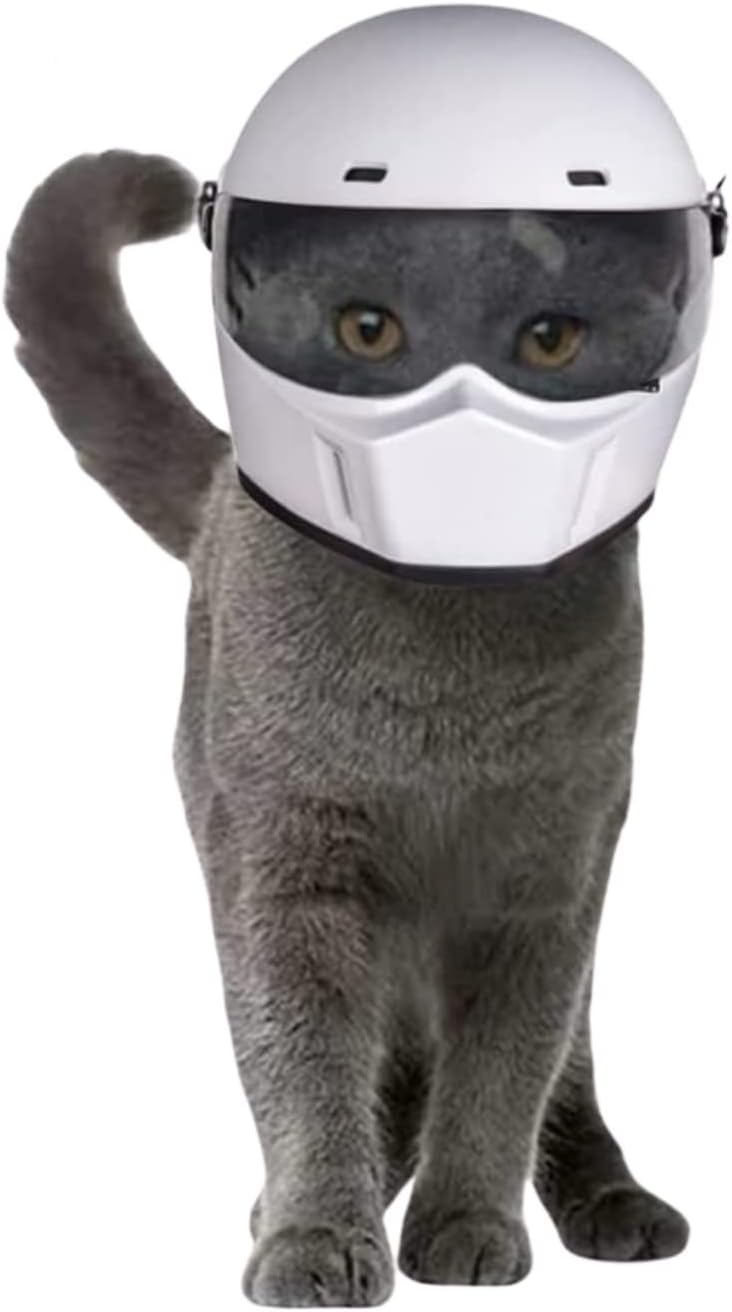 Pet Motorcycle Helmet, Full Face Motorcycle Helmet Outdoor Motorcycle Bike Riding Helmet Hat for Cat Dog Doggie Puppy Kitten Helmet Pet Supplies Racing Car Fan Collectible Small Gift (White)