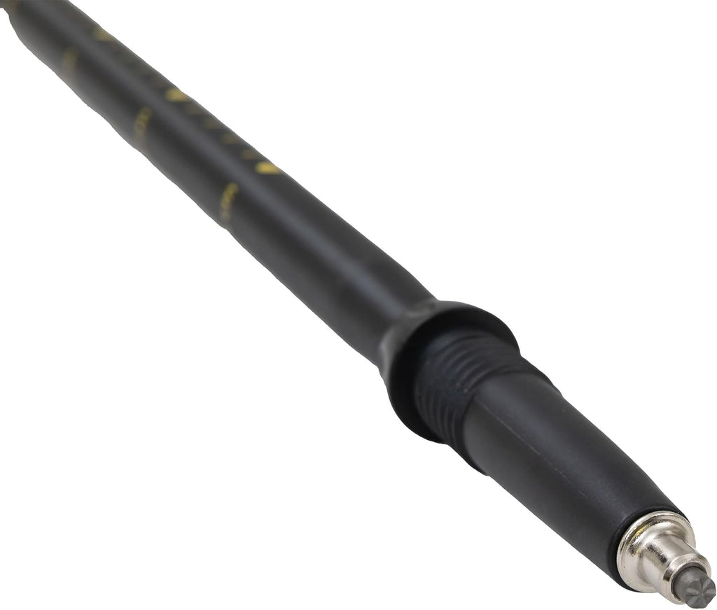 ALPS Mountaineering Alliance Trekking Poles, Set of 2, Black