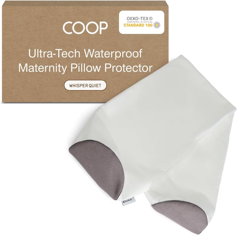 Coop Home Goods Nylon Camping and Travel Pillow Cover, Waterproof Camping Pillow Protector, Zippered Cover, Washable Travel Pillowcase (Grey)