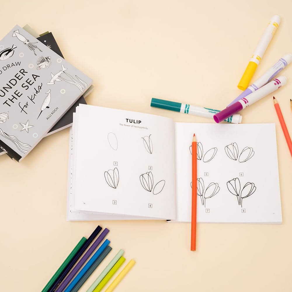 So Many Things: A Box Set of 5 How-to-Draw Books for Kids (Travel Activities Series)
