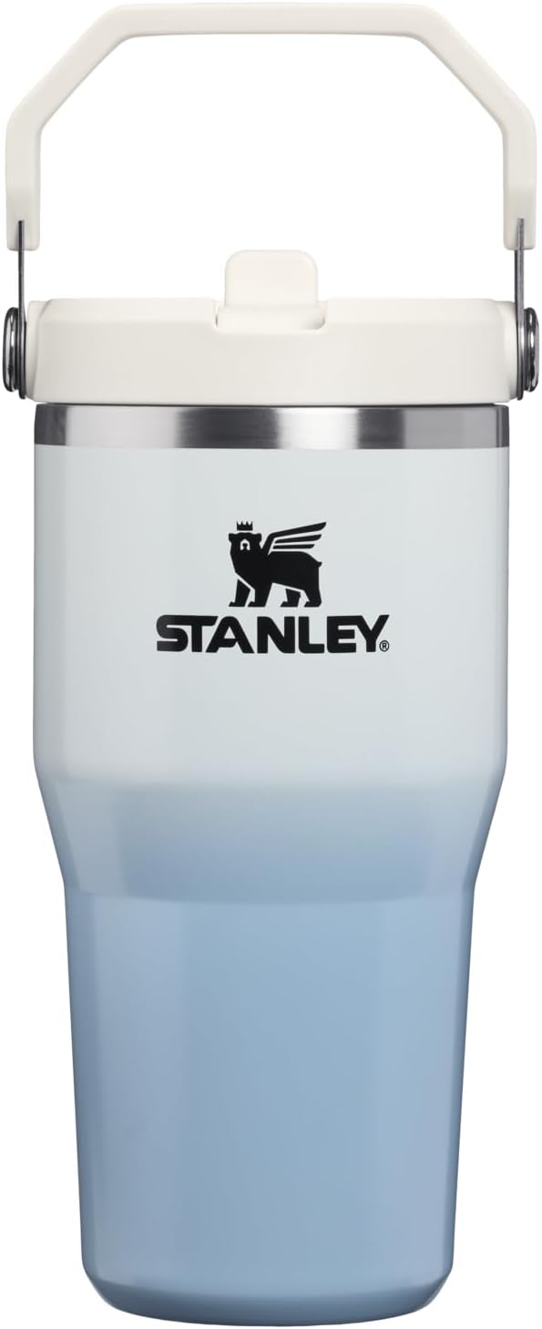 Stanley IceFlow Flip Straw Tumbler with Handle 20 oz | Twist On Lid and Flip Up Straw | Leak Resistant Water Bottle | Insulated Stainless Steel |BPA-Free | Ash