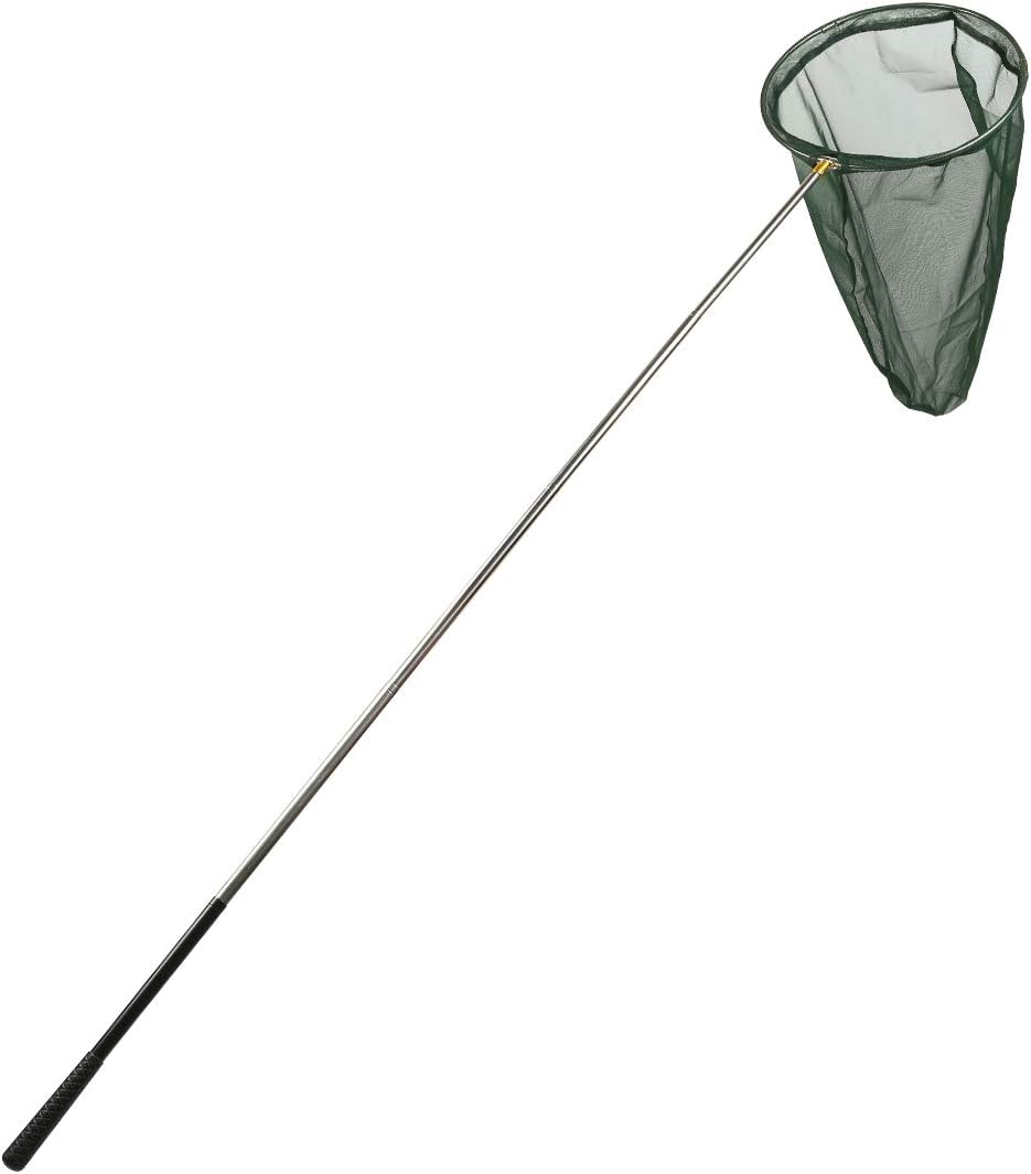 Professional Insect and Butterfly Net with 14" Ring, 26" Net Depth, 59" Telescopic Handle Full Extends to 73" Stainless Lockable