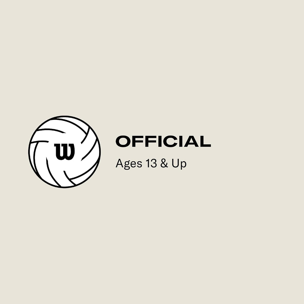 WILSON AVP Game Volleyballs