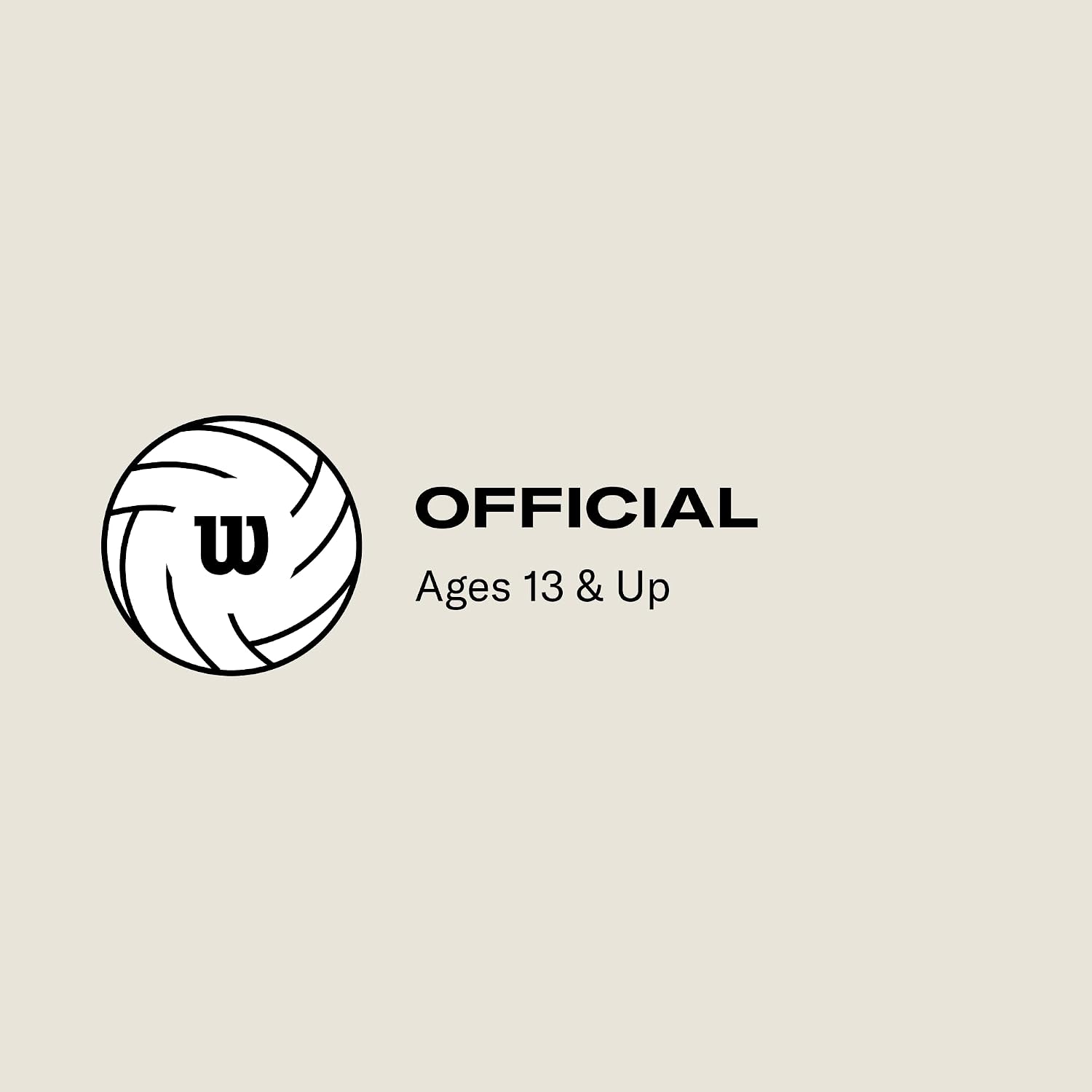 WILSON AVP Game Volleyballs