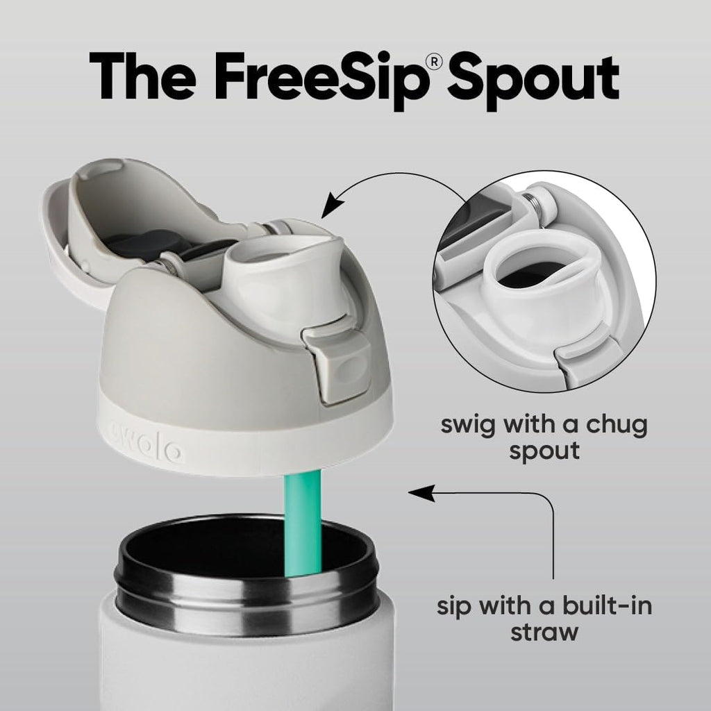 Owala FreeSip Stainless Steel Water Bottle 24 oz Grey/Green (Neo Sage)