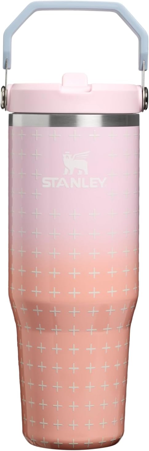 Stanley IceFlow Flip Straw Tumbler with Handle 20 oz | Twist On Lid and Flip Up Straw | Leak Resistant Water Bottle | Insulated Stainless Steel |BPA-Free | Ash