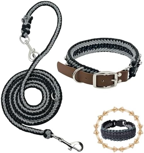 Paracord Dog Collar and Leash Set, Black Skull, 14"-20"