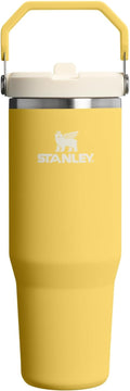 STANLEY IceFlow 2.0 Flip Straw Tumbler, 30 oz, Daffodil