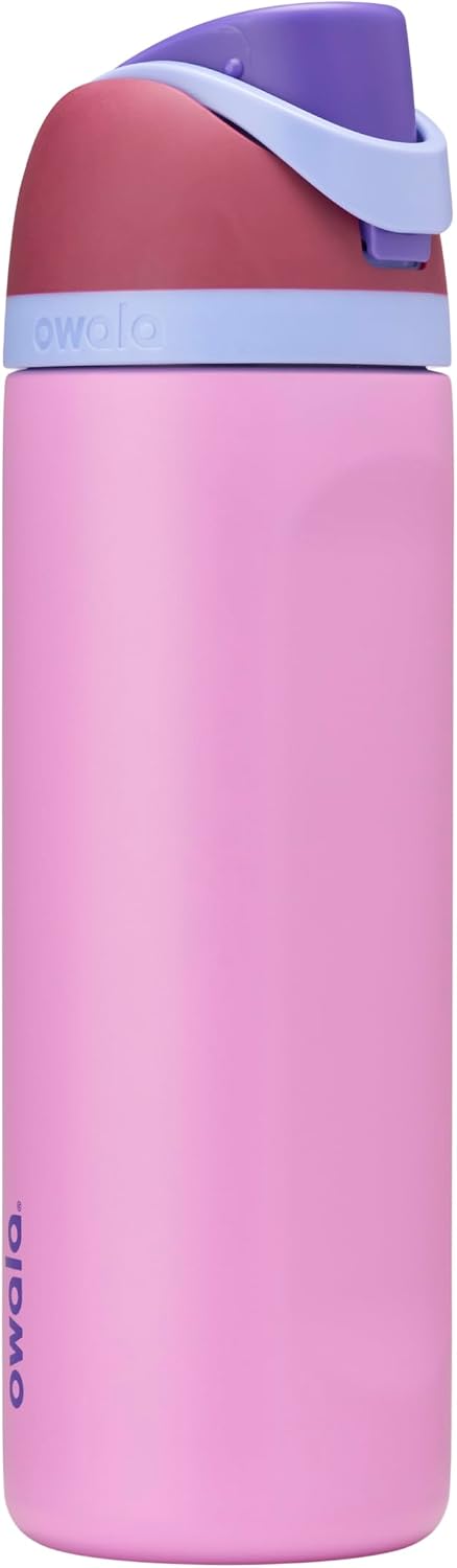 Owala FreeSip Stainless Steel Water Bottle 24 oz Grey/Green (Neo Sage)