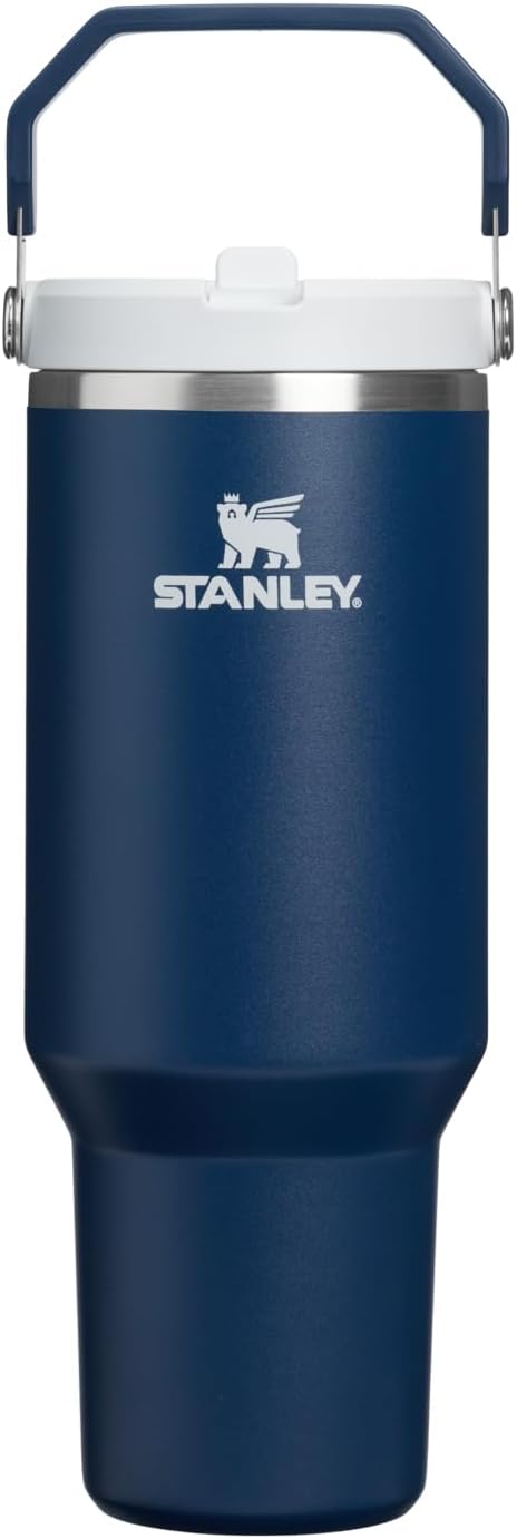 Stanley IceFlow Flip Straw Tumbler with Handle 20 oz | Twist On Lid and Flip Up Straw | Leak Resistant Water Bottle | Insulated Stainless Steel |BPA-Free | Ash