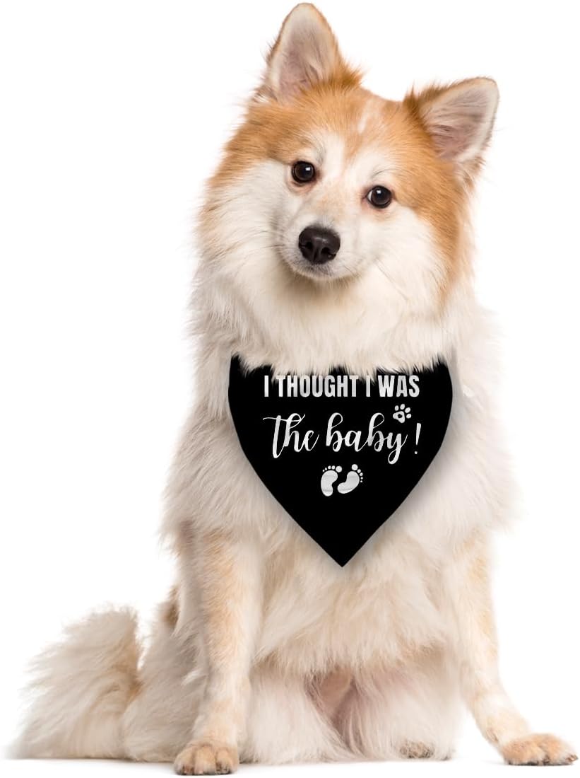 I Thought I Was The Baby Dog Bandana - Pregnancy Announcement Triangle Scarf for Large Dogs (L)