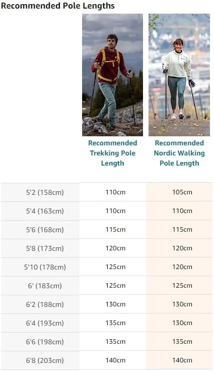 LEKI Nordic Walking Instructor Trekking Pole