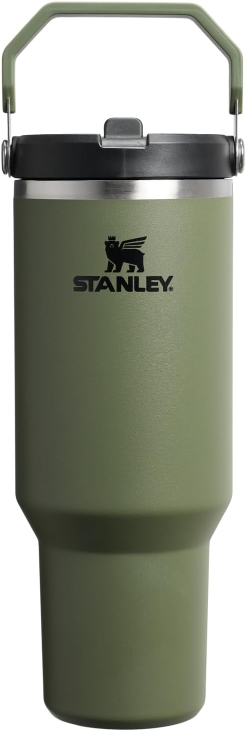 Stanley IceFlow Flip Straw Tumbler with Handle 20 oz | Twist On Lid and Flip Up Straw | Leak Resistant Water Bottle | Insulated Stainless Steel |BPA-Free | Ash
