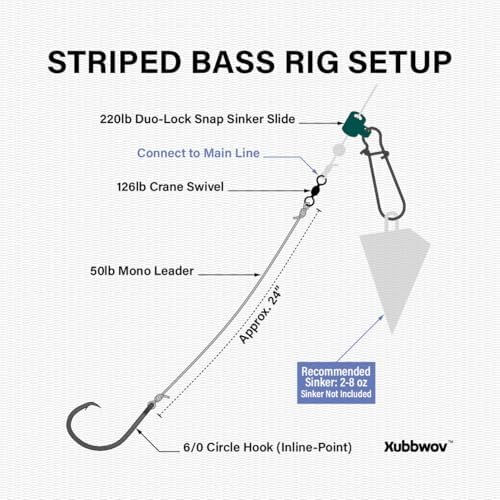 Striped Bass Rigs, 6-Pack, 6/0 Inline Circle Hook