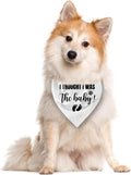 I Thought I Was The Baby Dog Bandana - Pregnancy Announcement Triangle Scarf for Large Dogs (L)