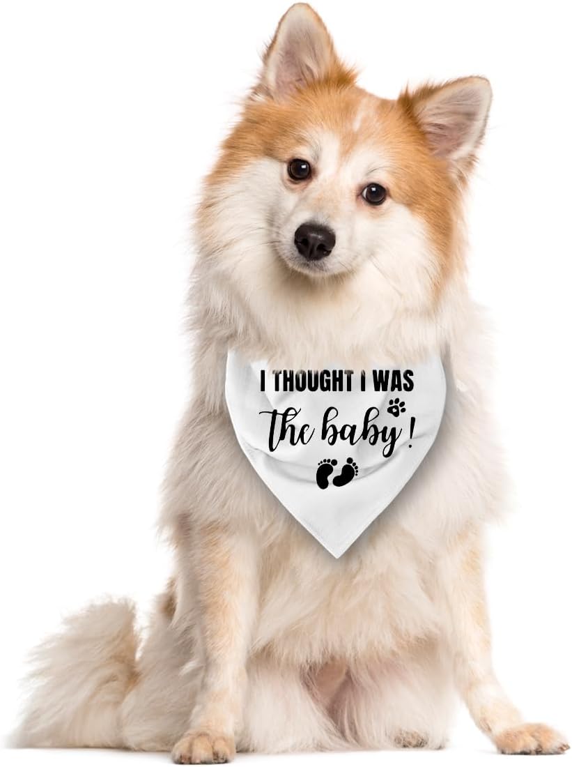 I Thought I Was The Baby Dog Bandana - Pregnancy Announcement Triangle Scarf for Large Dogs (L)