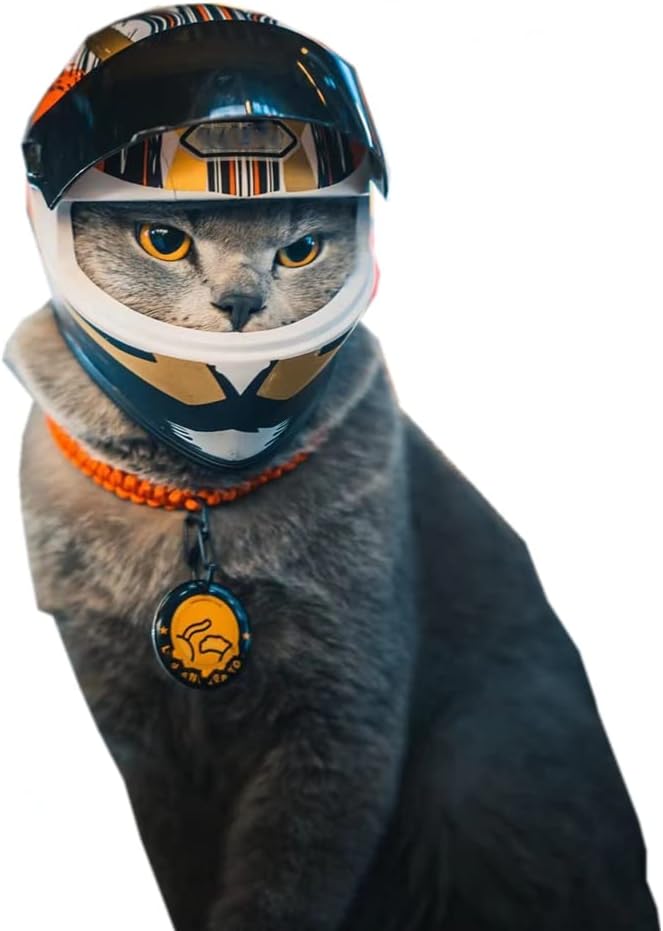 Pet Motorcycle Helmet for Cat Dog - Full Face Outdoor Bike Riding Helmet Hat (Multicolor)