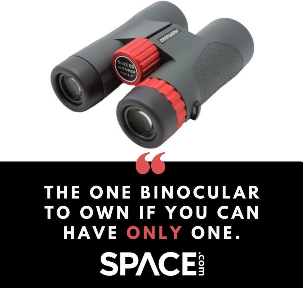 Oberwerk Sport ED 10x42 Professional Binoculars, Roof Prism, Fully Multi-Coated & Waterproof, Dielectric & Phase-Coated Prisms, Twist-Up Eyecups, Bird Watching, Hiking & Outdoor Use, Green