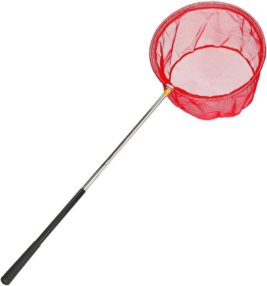 RESTCLOUD Bait Net and Fishing Landing Net with Telescoping Pole Handle Extends to 59 inches