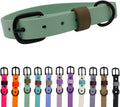 Multi-Color Odor-Resistant Waterproof Biothane Dog Collar Large Sage Green with Olive Drab Loop