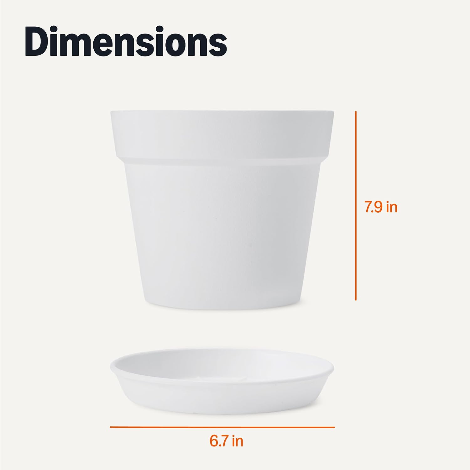 Amazon Basics Plant Pot with Saucer, Flower Pot with Drainage Holes, Lightweight PP, 8 Inch, 1-Pack