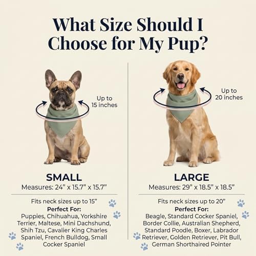 Two Tails Birthday Boy Dog Bandana, Tie-on, Large