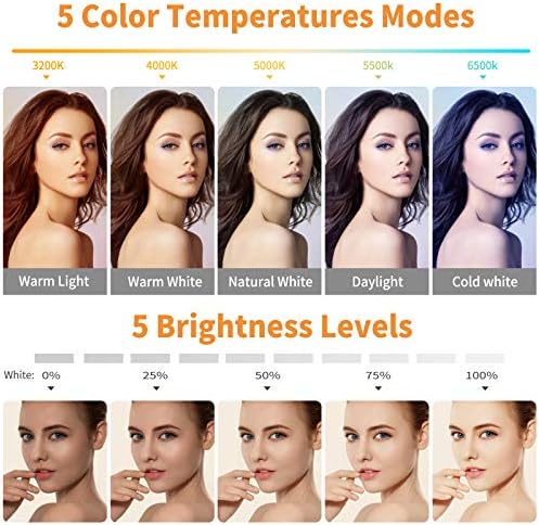 Video Conference Lighting Kit, Ring Light Clip on Laptop Monitor with 5 Dimmable Color & 5 Brightness Level for Webcam Lighting/Zoom Lighting/Remote Working/Self Broadcasting and Live Streaming, etc.
