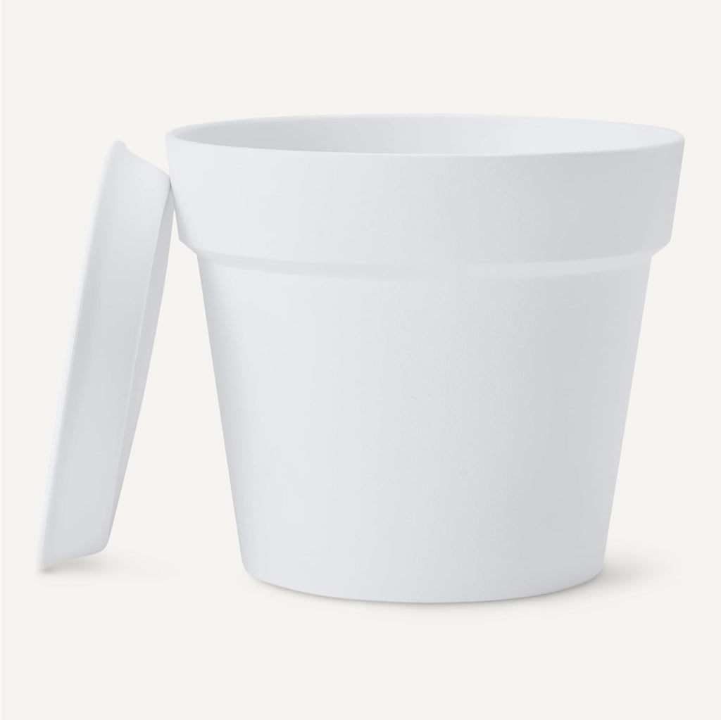 Amazon Basics Plant Pot with Saucer, Flower Pot with Drainage Holes, Lightweight PP, 8 Inch, 1-Pack