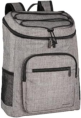 Amazon Basics Insulated Cooler Backpack for Camping and Hiking, Portable Soft Sided Cooler with 30 Can Capacity, Leak-Proof, Water-Resistant, Gray