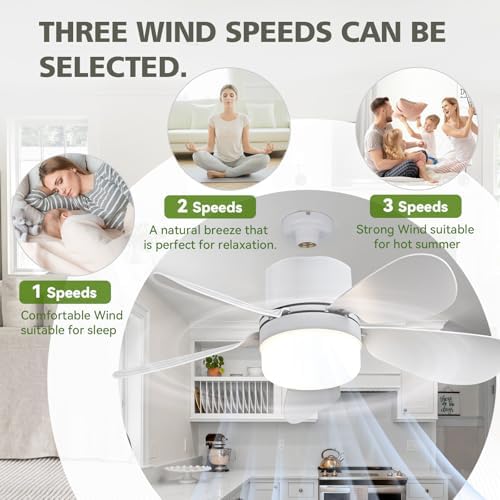 Socket Fan Light with Remote Control, Portable Small Ceiling Fans with Lights for Bedroom, Kitchen, Living Room, with Dimming Function, 1000 Lumens, Screws into E26/E27