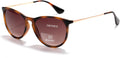 EFE Bifocal Reading Sunglasses for Men and Women, Sun Readers with UV400 Protection, Dual Vision Distance and Reading Glasses