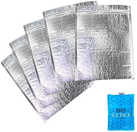IInsulated Easy Zip Lock Resealable Aluminum Bag with ice pack Lunch Bag Sandwich Bag Hot & Cold Pouch Reusable Thermal Picnic Bag (6 x 10 Inch), SMALL, Sliver
